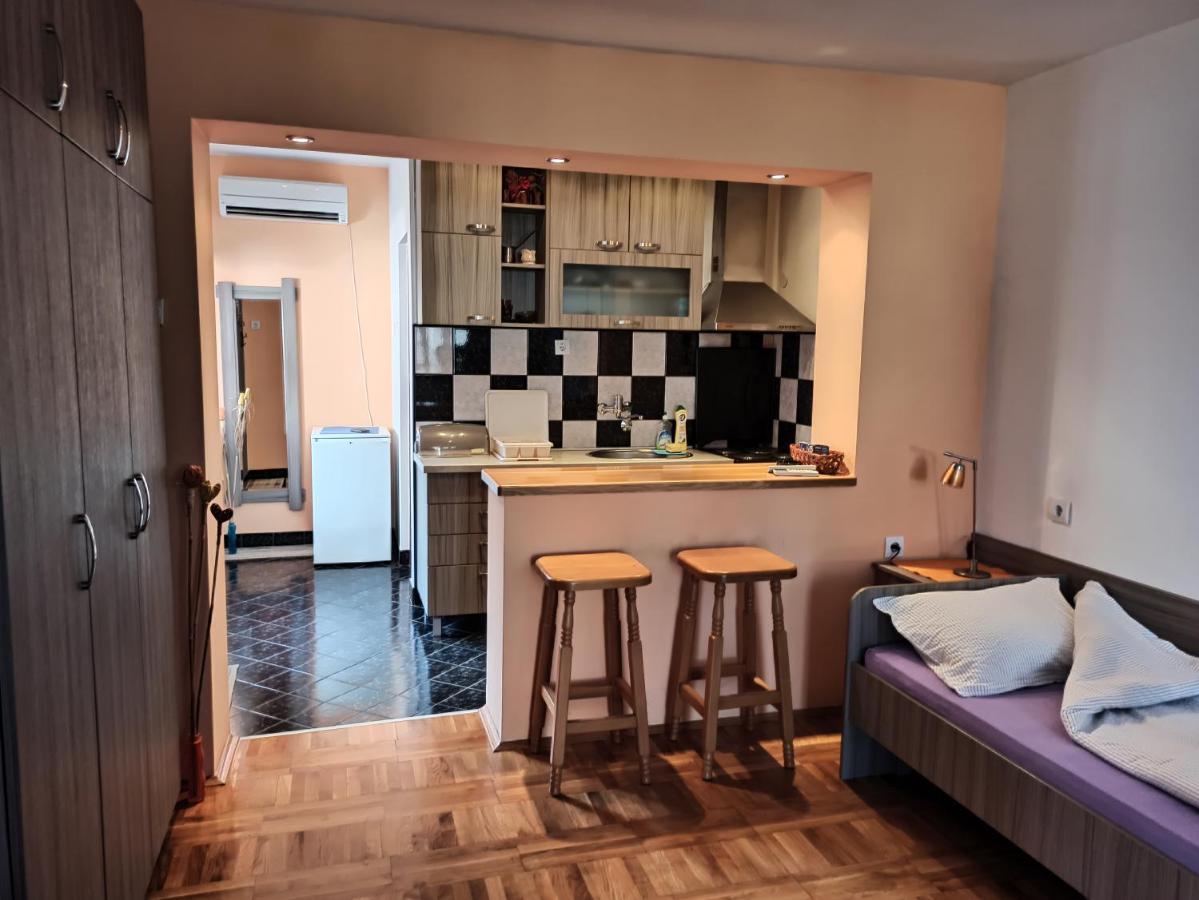Apartman Ristic Niska Banja Exterior foto